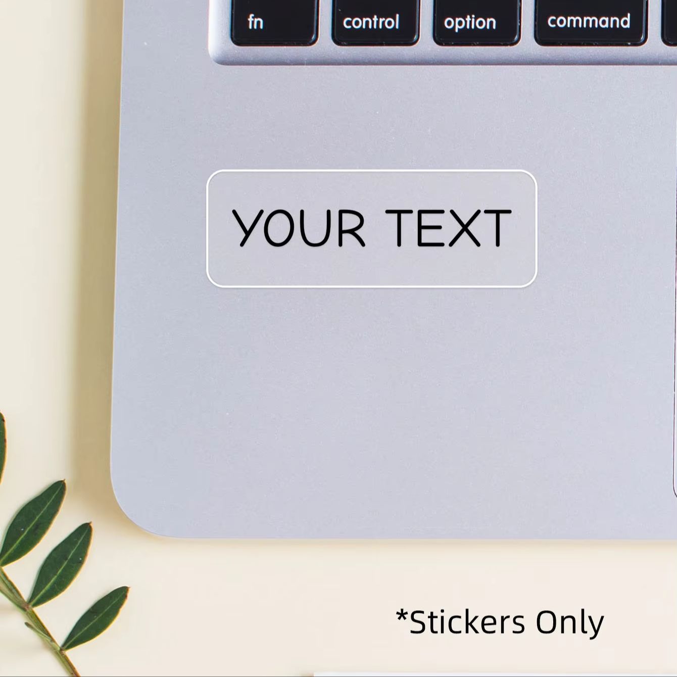 สติกเกอร์กันน้ำแบบกำหนดชื่อได้ - Snack Container Travel บทวิจารณ์และราคา